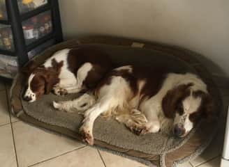 Ffion and Dylan