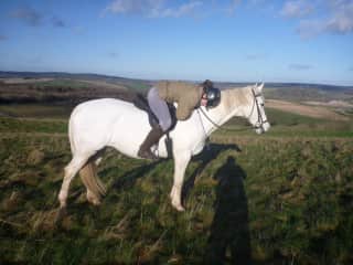 My horse Lilly
