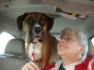 This is Lily, a boxer that I helped rehome after her owner got sick. We took her up to Connecticut to a loving family.