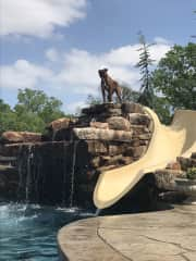 Rylee on top of the waterfall next to the slide