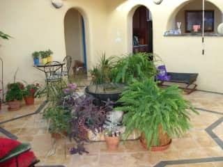 Interior and Plants (has been rearranged)