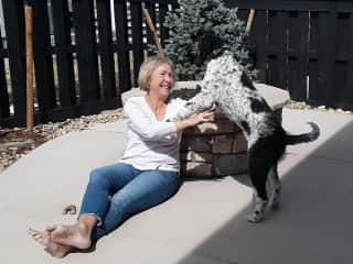 Backyard fun with Pebbles in Littleton, Colorado.