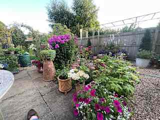 Pretty area to sit in , very sunny