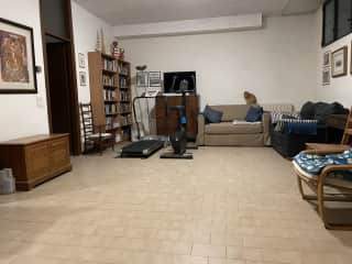 Basement with treadmill, static exercise bike, lots of jigsaw puzzles and games and cat