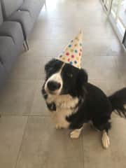 Its my birthday... hand over the cake