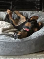 relaxing in front of the fireplace