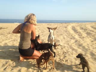 Feeding a stray dog and her pups on a deserted beach in Mexico