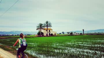 This is me biking in the rice fields in Delta de Ebro, Spain