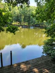 Over looking the lake from dock