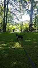 Exploring with Indigo