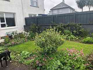 Front flowerbeds