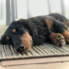 Sleeping on the rooftop terrace