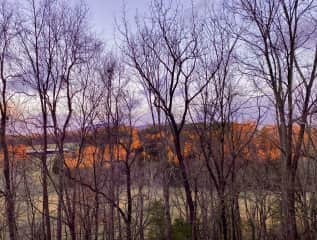 Sunrise view looking slightly right from our front porch one November morning. There is a farm across the road—most area farms raise beef cows and horses. Some are equestrian training sites.