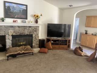 Living Room/Family Room
