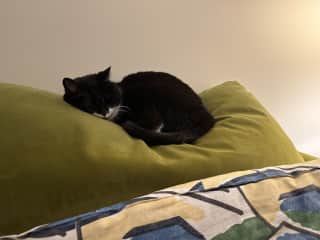 At rest