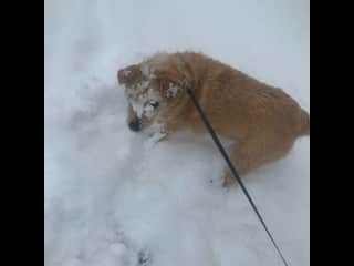 Winter weather is her favorite!