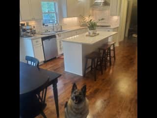 Main Kitchen with modern stainless appliances.