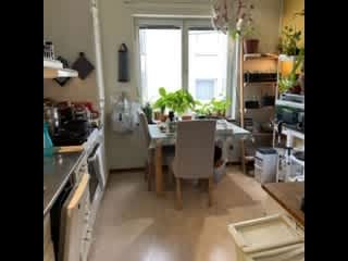 Kitchen, electric stove, microwave, and Sunny Alex cat's favorite place!