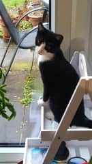 I sit on the plant stand