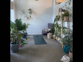 Yoga/plant room