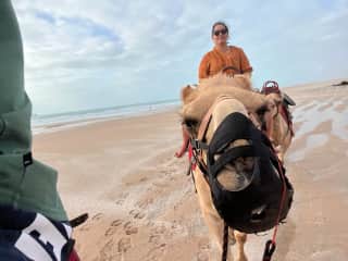 Camel rodes in Broome