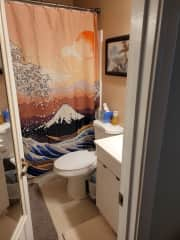 Guest bathroom