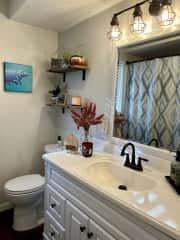 Full bathroom with vanity, bath and shower.