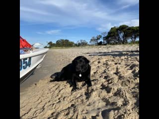 Maggie loves coming on holiday with us sometimes as well.