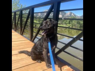 Batman out for a walk