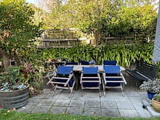 Back garden