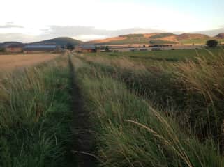 View of farm and Sidlaw hills