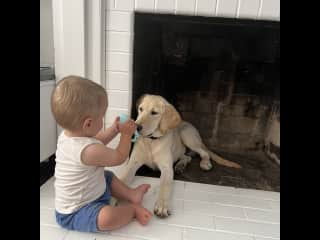 Our baby shares a toy with a pup in Sacramento, California.