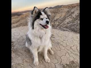 Sunset photos in the California desert.