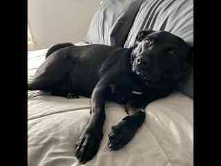Mona: just lounging