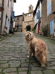 Walking the cobbled streets with Mocha. Housesitting in France.