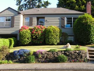 My home in Seattle (prior dog, Tally)