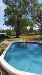 The backyard pool I built