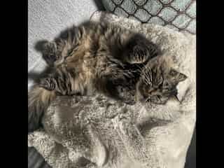 Reka: getting cozy