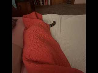 She doesn’t enjoy being cold.