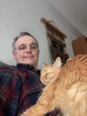 Cat hug