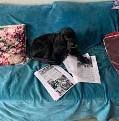 Likes to get involved. A bit of a reader at times
