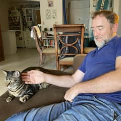 Cat sitting in Miami