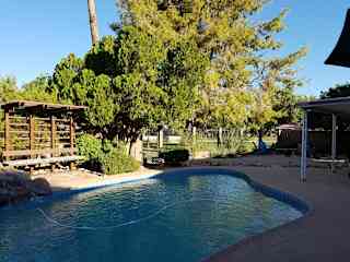 Backyard pool