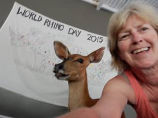 South Africa - Miracle, the camp Antelope!