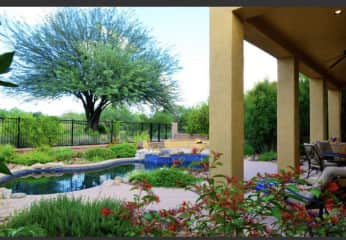 Pool and backyard view