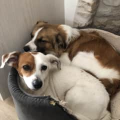 Pepi and Tayo