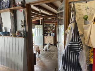 Looking into the "back kitchen" just off the main kitchen, leading to the garden access as well as the dairy and the furthest and oldest room the "further back kitchen" where our washing and tumble dryer machines are situated.
