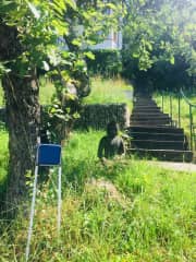 garden - stairway