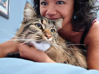 Archie is a majestic Maine Coon I fell in love with in South Dakota, U.S.