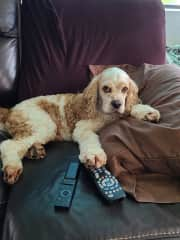 We can share the remote.